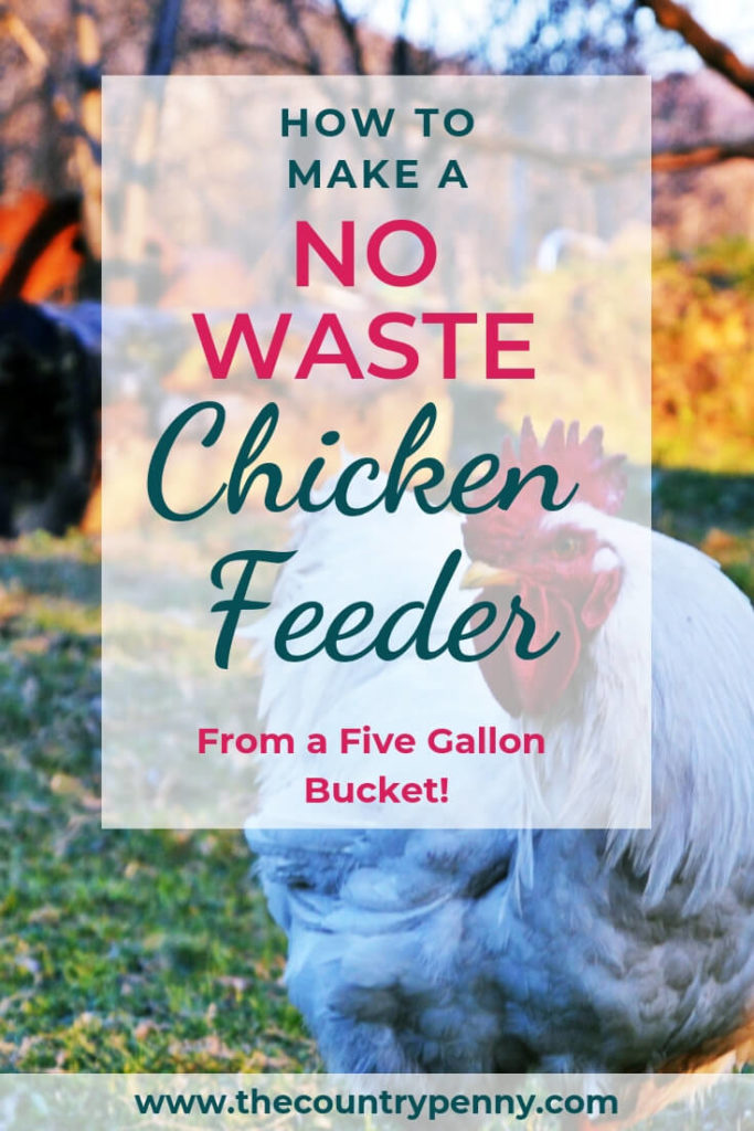 How to: DIY Chicken Feeder