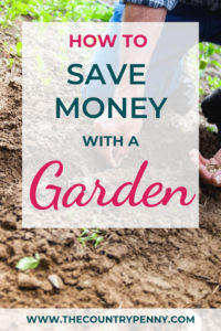 Planning a Money Saving Garden