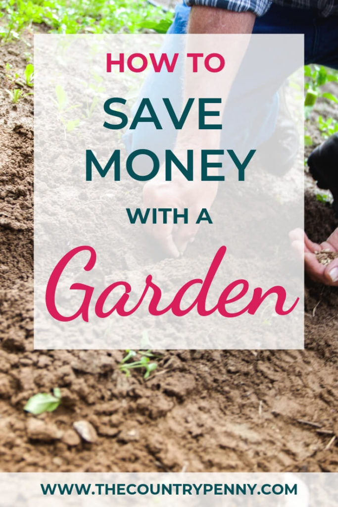 Planning a Money Saving Garden