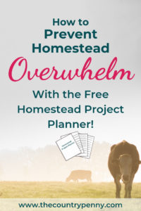 How to Beat Homestead Overwhelm