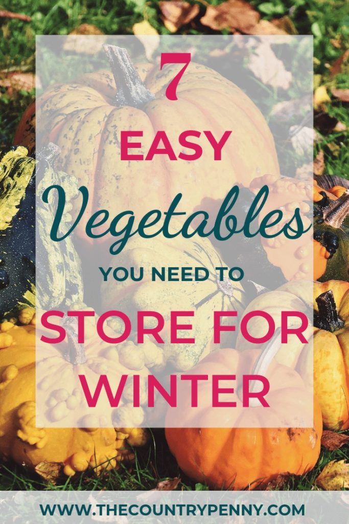 7 Easy Winter Storage Vegetables