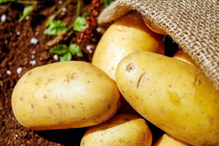 Easy storing vegetables potatoes