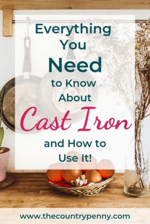 Cast Iron Pin