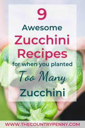 How to use extra zucchini